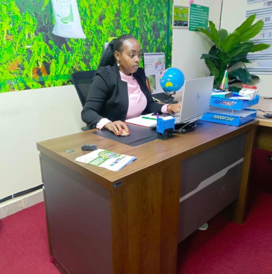 Business Process Optimization